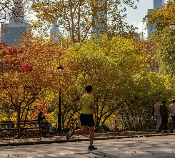 Runner jogging through Central Park surrounded by fall foliage, with the Manhattan skyline rising above the trees