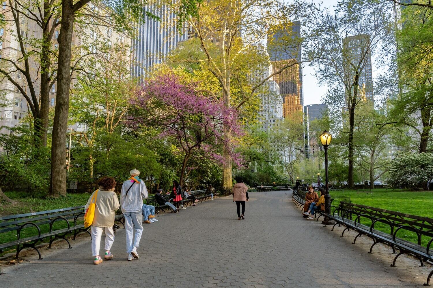 Central Park