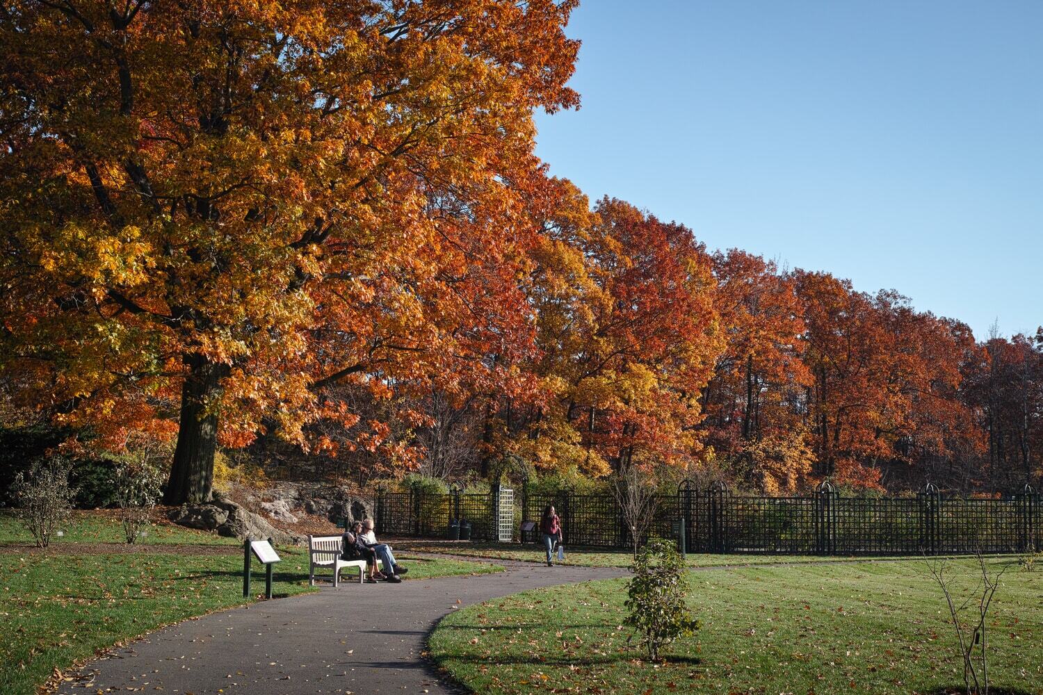 Fall NYC