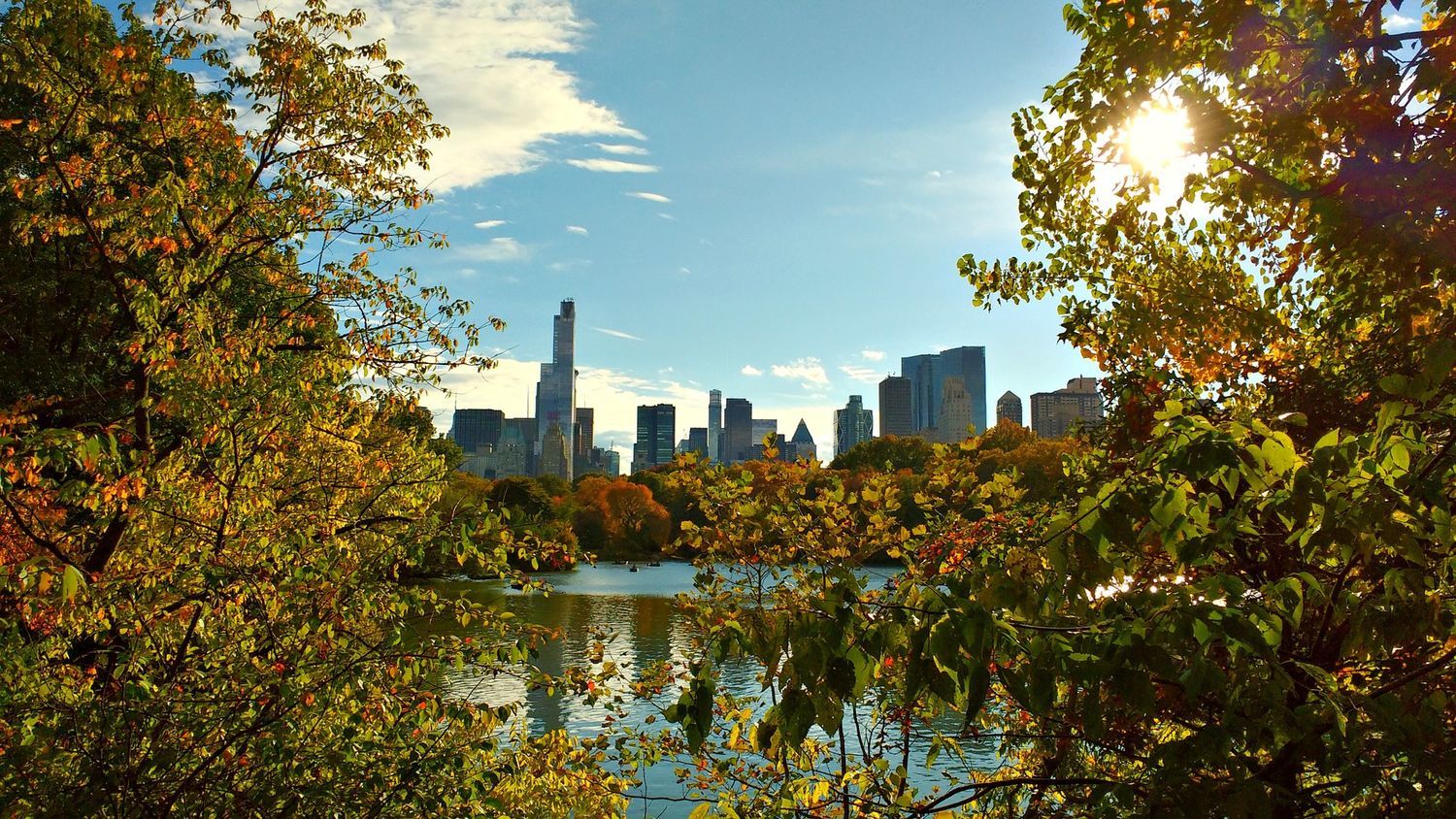 8 Fun & Relaxing Central Park Activities
