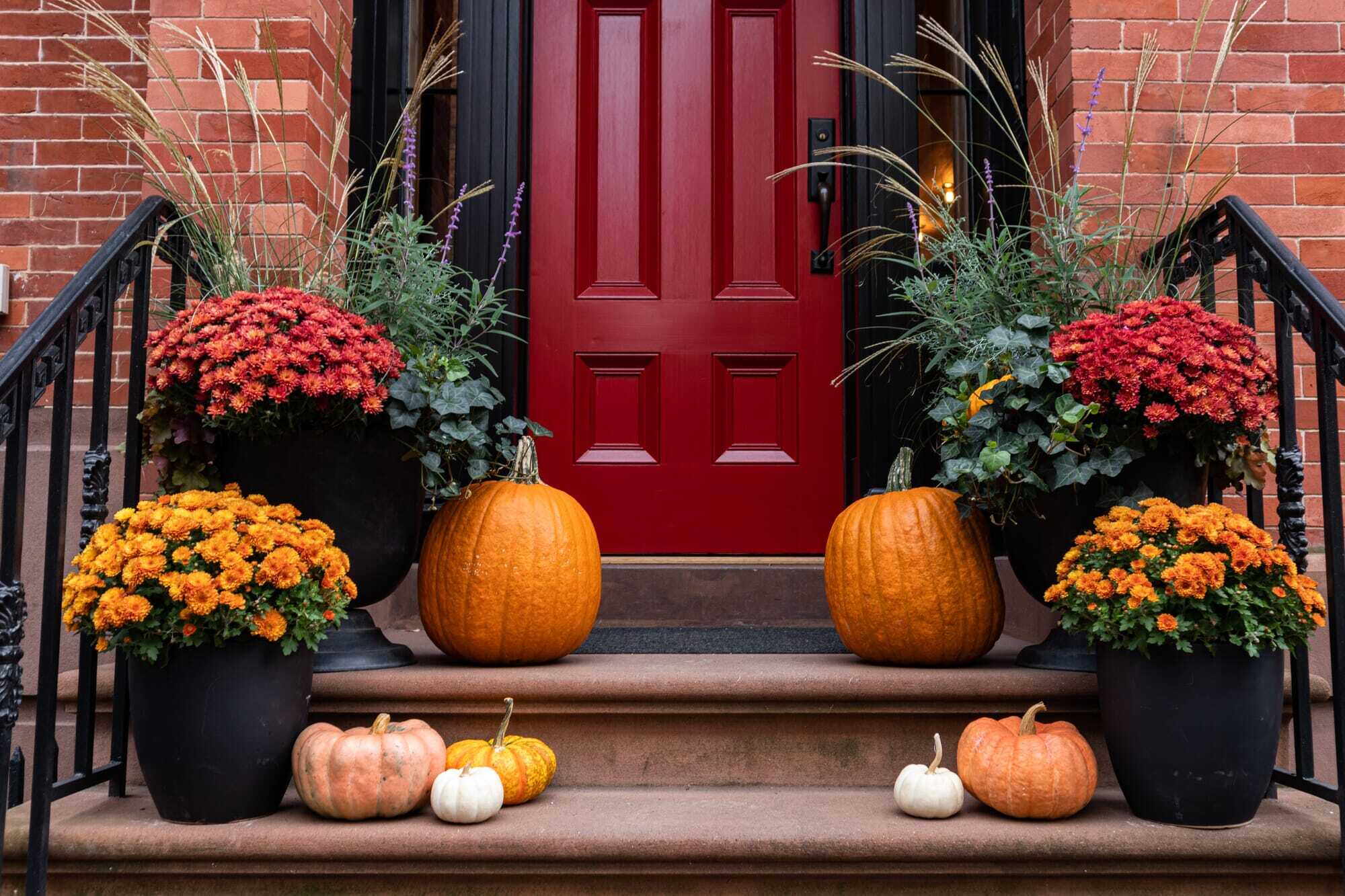 Beautiful pumpkins and flowers used as decoration for a house 