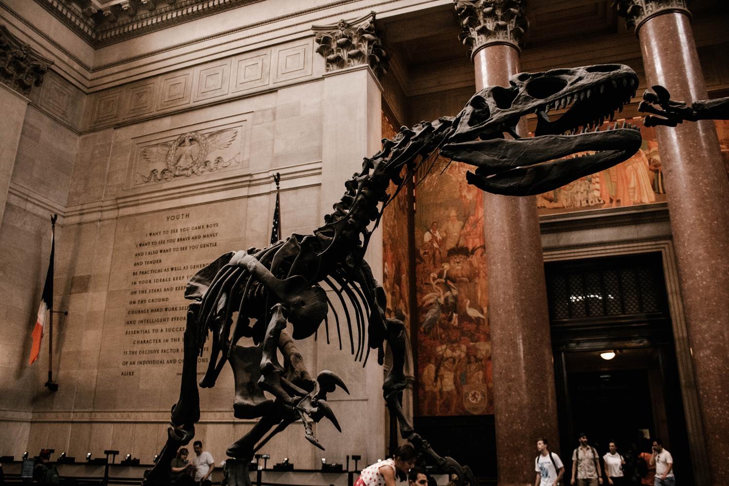Stand-out Museums of New York