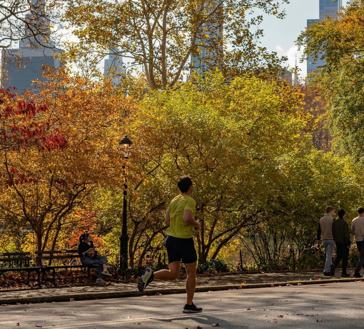 Runner jogging through Central Park surrounded by fall foliage, with the Manhattan skyline rising above the trees