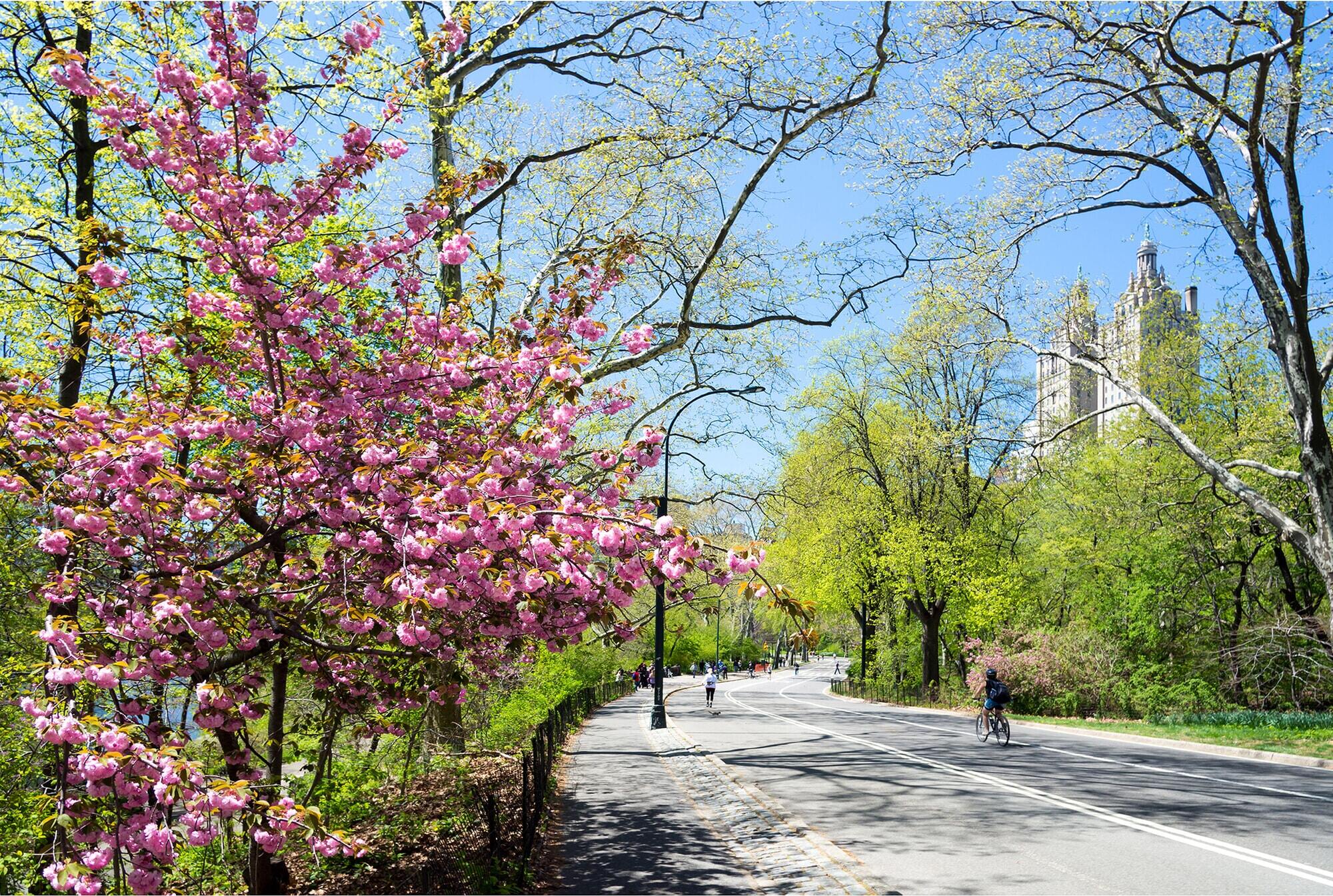 nyc in may